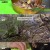 나는 자연인이다.E630.241106.720p-NEXT