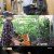 동행.E482.241109.720p-NEXT