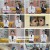 순정시대.E84.241110.1080p.H264-F1RST