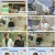 알약방.E229.241114.720p.H264-F1RST