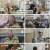 특종세상.E661.241114.1080p.H264-F1RST