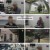궁금한 이야기 Y.E709.241115.1080p.H264-F1RST