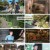 sbs뉴스토리.E492.241116.1080p.H264-F1RST