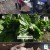 팔도밥상.E396.241116.720p-NEXT