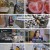 천기누설.E648.241122.1080p.H264-F1RST
