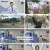 임성훈의 스타 유전자 X파일.E57.241123.1080p.H264-F1RST