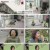 한번더체크타임.E218.241125.1080p.H264-F1RST
