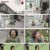 한번더체크타임.E218.241125.1080p.H264-F1RST