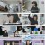 임성훈의 스타 유전자 X파일.E58.241130.1080p.H264-F1RST