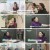 다큐 플러스.E335.241201.1080p.H264-F1RST