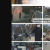 맨 인 블랙박스.E604.241201.1080p.H264-F1RST