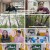 김원희의원더랜드.E01.241203.1080p.H264-F1RST