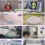 메디컬다큐 - 더 팩트.E37.241203.720p.H264-F1RST