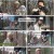 나는 자연인이다.E634.241211.1080p.H264-F1RST