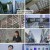 일요 특선 다큐멘터리.E361.241215.1080p.H264-F1RST