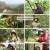 인간극장.E5998.241216.1080p.H264-F1RST