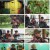 인간극장.E5999.241217.1080p.H264-F1RST