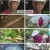 나는 자연인이다.E635.241218.1080p.H264-F1RST
