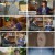 일요 특선 다큐멘터리.E362.241222.1080p.H264-F1RST