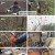 나는 자연인이다.E636.241225.1080p.H264-F1RST