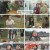 인간극장.E6017.250110.1080p.H264-F1RST