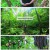 영상앨범 산.E992.250615.1080p-F1RST