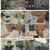 생로병사의 비밀.E956.250625.1080p-F1RST