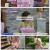 몸으로 보는 세상 아모르바디.E15.250706.1080p-F1RST