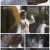 전장사.E28.210625.720p.H264-F1RST
