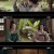 대당여아행.E03.211025.720p-NEXT