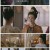 장안락.E29.211026.1080p.H264-F1RST