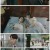 광망 - 빛을 쫓는 자.E11.220214.1080p.H264-F1RST