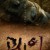 괴이 Monstrous.S01.KOREAN.1080p.VIU.WEBRip.AAC2.0.x264-iTsOK