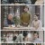 명수사관 유용전.E10.220603.1080p.H264-F1RST