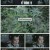 비호외전.E01.221209.1080p.H264-F1RST