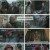 비호외전.E04.221214.1080p.H264-F1RST