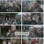 비호외전.E05.221215.1080p.H264-F1RST