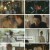 가면의 女子.E01.230109.1080p.H265-F1RST