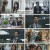 환희의 찬가 in 상하이.E14.230202.720p.H264-F1RST