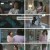 환희의 찬가 in 상하이.E19.230209.720p.H264-F1RST