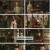 홍루몽.E04.230213.1080p.H264-F1RST