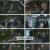 환희의 찬가 in 상하이.E21.230213.720p.H264-F1RST