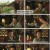 홍루몽.E11.230222.1080p.H264-F1RST