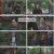환희의 찬가 in 상하이.E30.230224.720p.H264-F1RST