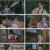 택군기.E13.230412.1080p.H264-F1RST