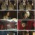 홍루몽.E50.230418.1080p.H264-F1RST