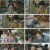 택군기.E20.230421.1080p.H264-F1RST