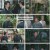택군기.E27.230502.1080p.H264-F1RST
