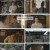군자맹.E07.230516.1080p.H264-F1RST