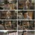 군자맹.E10.230519.1080p.H264-F1RST